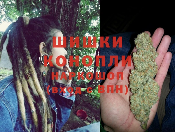 винт Осинники