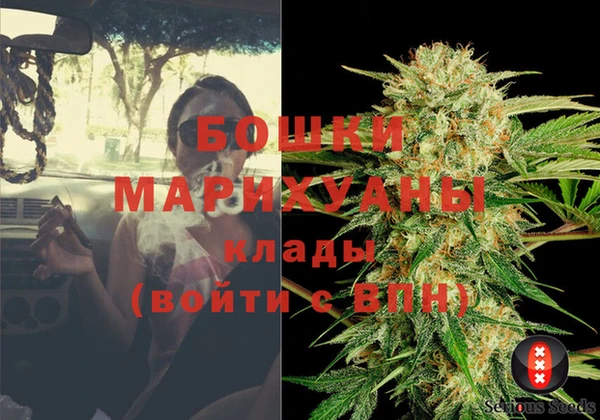 соль ск Переславль-Залесский