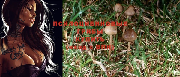 MESCALINE Пестово